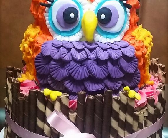 The Mighty Owl Cake