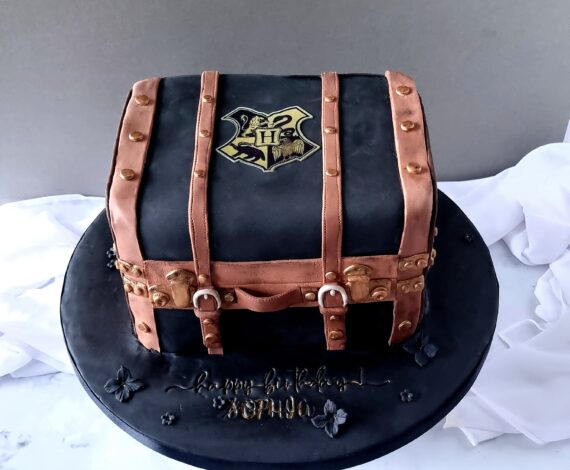 HP Case