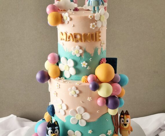 Bluey Cake